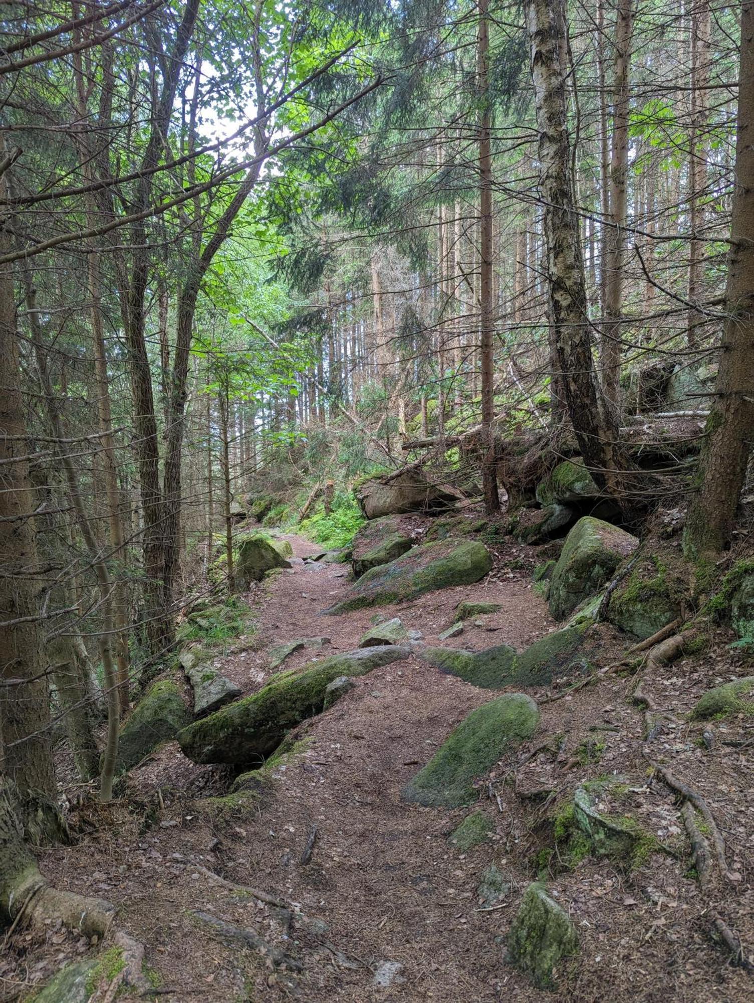 Waldgasthaus & Berghotel Steinerne Renne Wernigerode Eksteriør bilde